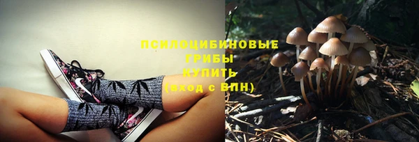 прущие крисы Балабаново