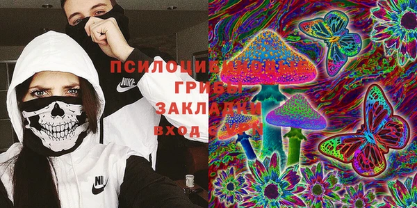 круглые Аркадак