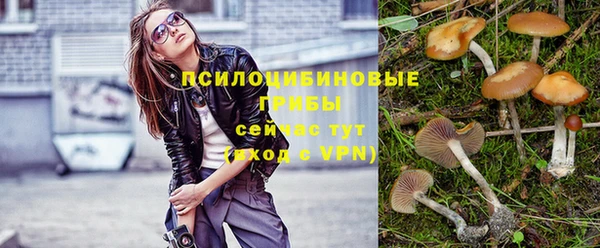круглые Арсеньев
