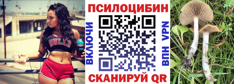 Псилоцибиновые грибы ЛСД Бокситогорск